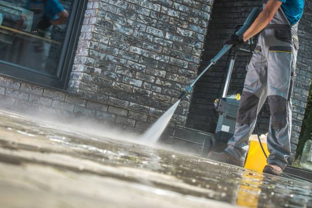 Best House Exterior Washing  in Dash Point, WA